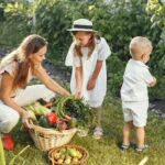 Ogród warzywny i użytkowy – zdrowa przestrzeń wokół domu